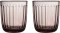 Iittala Raami Trinkglas 260ml Gläser-Set, 2-tlg. Vorschaubild