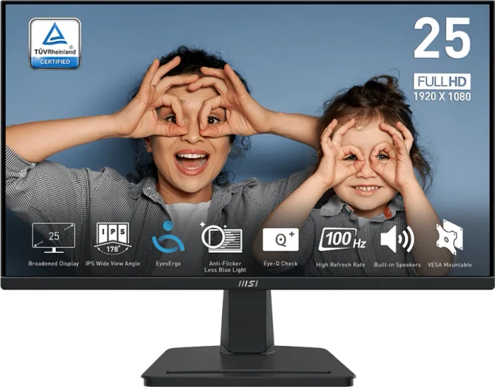 MSI PRO MP251DE, 24.5"