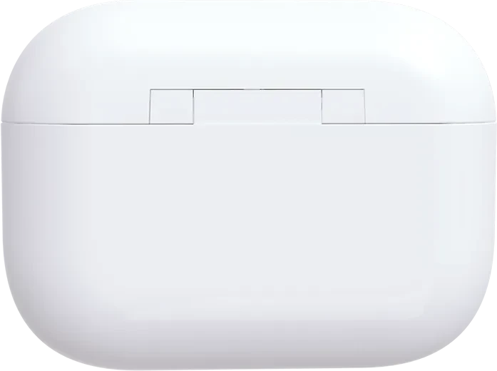 Biwin UD400 256GB, USB-C, USB 3.2 Gen 1×1