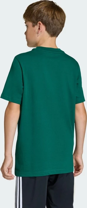 adidas Kids T-Shirt kurzarm collegiate green (Junior)