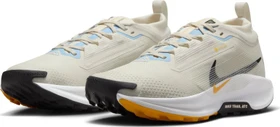 Nike Pegasus black/cool grey/anthracite/wolf grey (Damen)