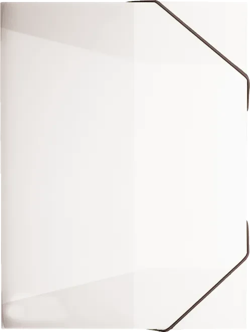Brunnen FACT!pp Sammelbox für Hefte, A4, arctic weiß/transparent
