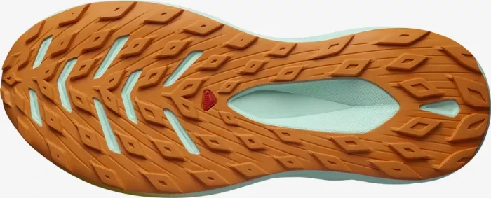 Salomon Glide Max TR bleached sand/yucca/orange pepper (Herren)