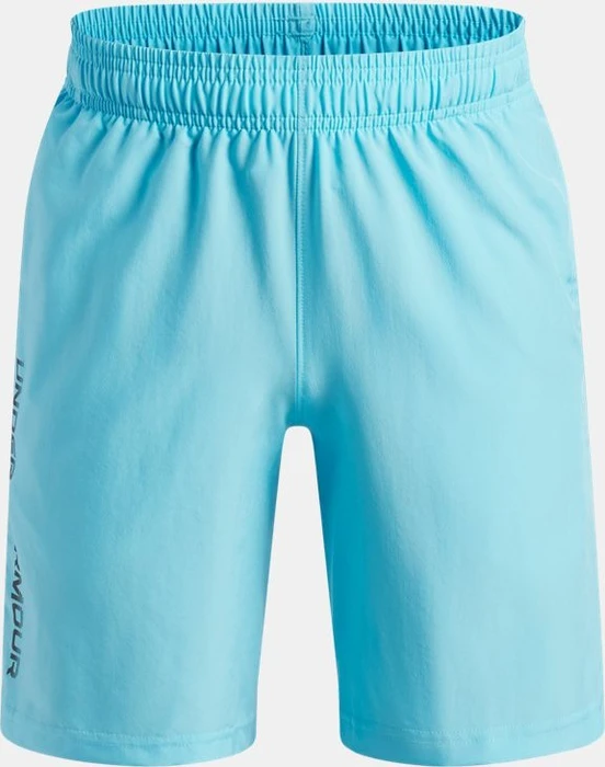 Under Armour Tech Woven Wordmark Hose kurz (Junior)