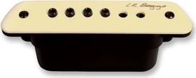 L.R. Baggs M1