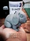 Monocure3D Rapid Resin grey, 560g Vorschaubild