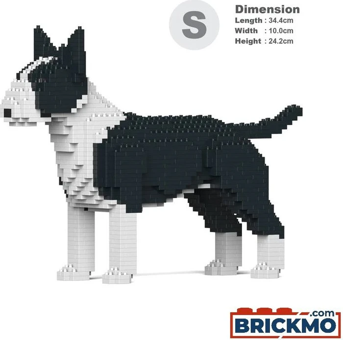 Jekca English Bull Terrier