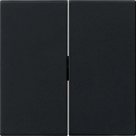 Gira System 55 Wippe 2fach für Tastschalter, schwarz matt