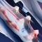 adidas F50 Elite FG cloud white/solar red/lucid blue Vorschaubild