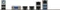 ASUS Z10PE-D16/4L (2x Intel 2011-3) Vorschaubild