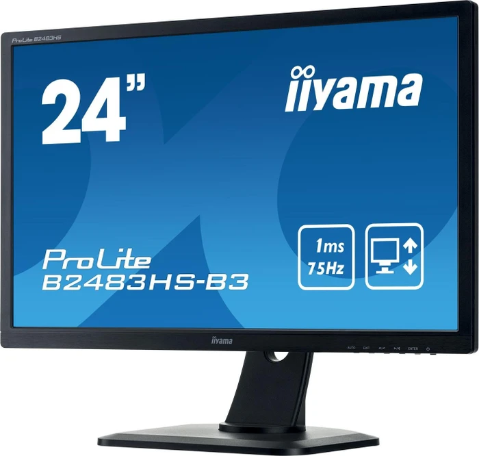 iiyama ProLite B2483HS-B3, 24"
