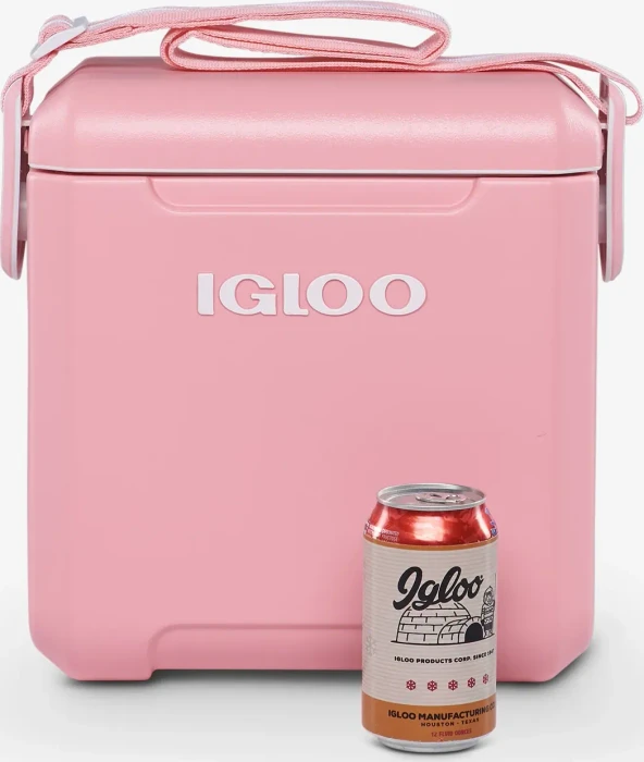 Igloo Tag Along Too Passiv-Kühlbox blush