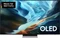 Samsung GQ55S93H Vorschaubild