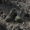 adidas Terrex Skychaser AX5 Gore-Tex olive strata/night cargo/tent green (Damen) Vorschaubild