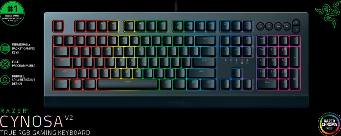 Razer Cynosa V2, USB, IT
