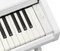 Yamaha Arius YDP-146 weiß Vorschaubild