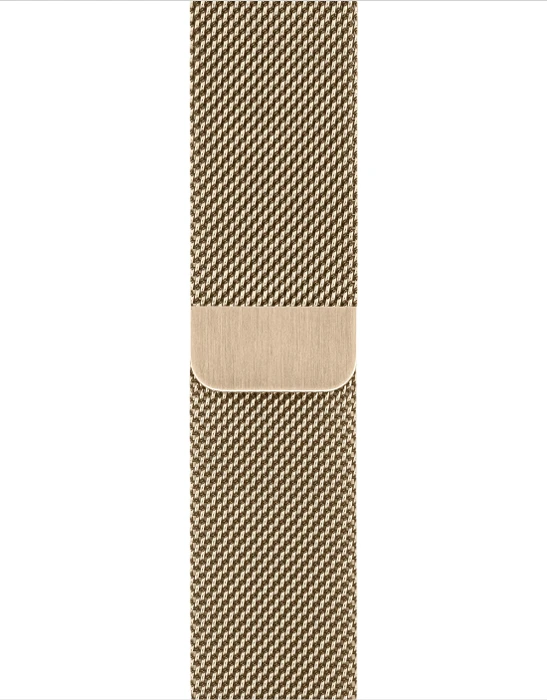 Apple Watch Series 6 (GPS + Cellular) 40mm Edelstahl gold mit Milanaise-Armband gold