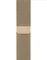 Apple Watch Series 6 (GPS + Cellular) 40mm Edelstahl gold mit Milanaise-Armband gold Vorschaubild