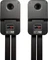 Polk Audio Signature Elite ES20 schwarz, Paar Vorschaubild