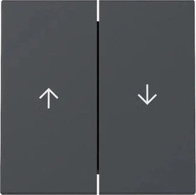 Gira Wippe 2fach mit Pfeilsymbol, anthrazit