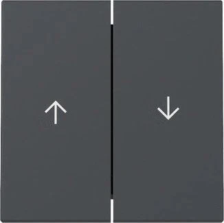 Gira Wippe 2fach mit Pfeilsymbol, anthrazit