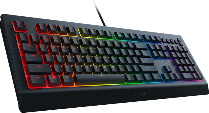 Razer Cynosa V2, USB, IT