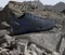 adidas Eastrail 2.0 shadow navy/semi lucid blue (Herren) Vorschaubild
