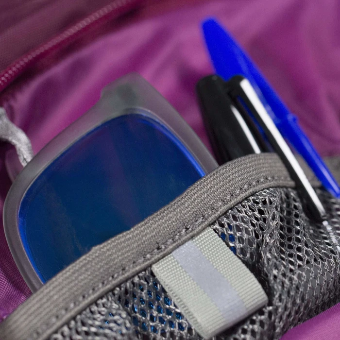 Osprey Daylite Plus 20 eggplant purple