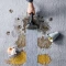 Rowenta IN3020 Clean It Compact Waschsauger Vorschaubild
