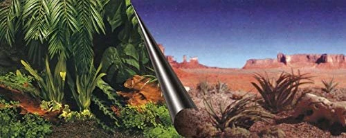 ebi Fotorückwand Jungle & Dessert, 80x40cm