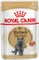 Royal Canin British Shorthair Vorschaubild