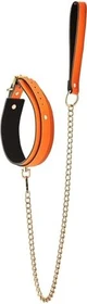 Dream Toys Radiant Glow In The Dark Collar And Leash orange