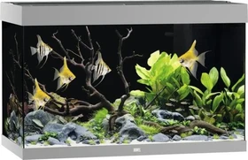Juwel Rio 290 LED Aquarium-Set mit Unterschrank, grau/grau, 290l