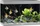 Juwel Rio 290 LED Aquarium-Set mit Unterschrank, grau/grau, 290l (02650)