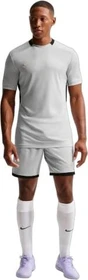 Nike Dri-FIT Academy Funktionsshirt kurzarm light smoke grey/black/white/metallic gold (Herren)