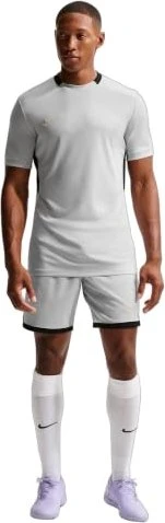 Nike Dri-FIT Academy Funktionsshirt kurzarm light smoke grey/black/white/metallic gold (Herren)