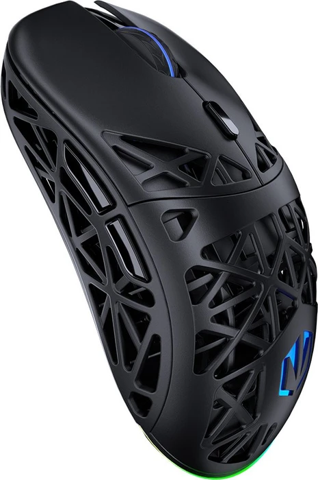 Endorfy LIV Plus Wireless, schwarz, USB/Bluetooth