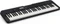 Casio CT-S300 Vorschaubild