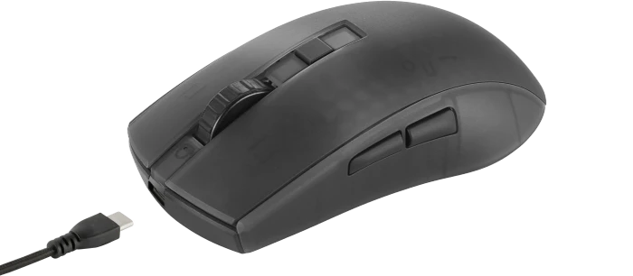 Deltaco DM320 Wireless RGB Lightweight Gaming Mouse schwarz/transluzent, USB