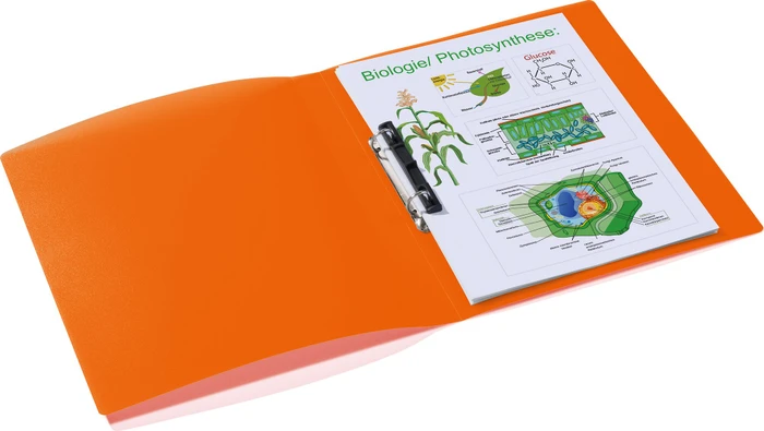 Herma Ringbuch 2-Ring, 25mm, A4, orange/transparent, 3er-Pack