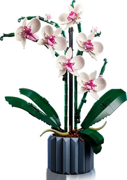 LEGO Botanicals - Orchidee