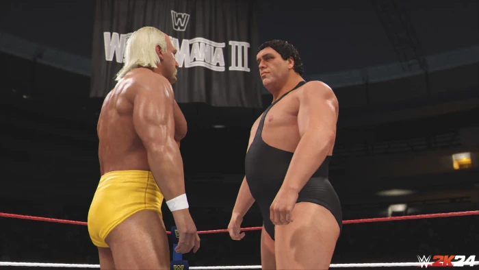 WWE 2k24 (PS4)