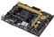 ASUS A55BM-A/USB3 (AMD FM2+) Vorschaubild