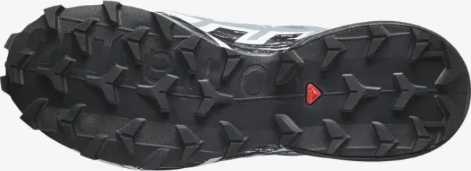 Salomon Speedcross 6 Gore-Tex flint stone/black/heather (Damen)