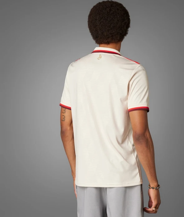 adidas FC Bayern München 2024/2025 Ausweichtrikot linen (Herren)