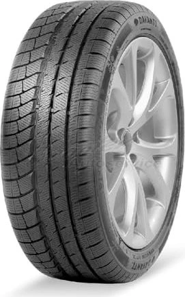 Davanti Wintoura+ 245/35 R20 95W XL
