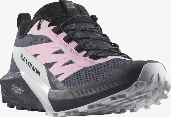 Salomon Sense Ride 5 india ink/lilac sachet/arctic ice (Damen)