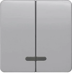 Siemens DELTA profil Wippe mit Fenster 2-fach Mittelstellung, silber