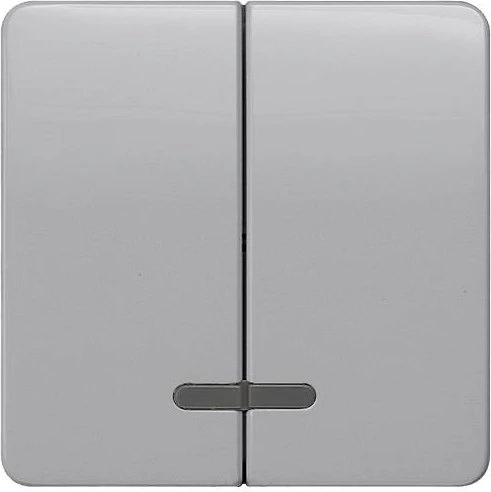 Siemens DELTA profil Wippe mit Fenster 2-fach Mittelstellung, silber
