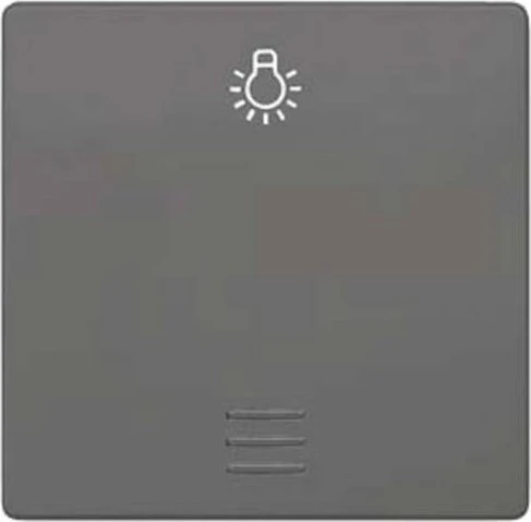 Siemens DELTA i-system Wippe mit Symbol Licht für Taster, carbonmetallic